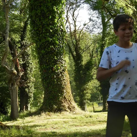 De L'o D'or * Villers-devant-Orval